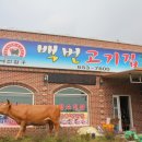 백번고기집