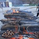얼음왕국 조치원행복점 | 겨울 왕국 청양 알프스마을 칠갑산 얼음분수 축제 후기
