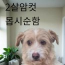 금수보건지소 이미지