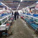 남재 | 울산 동구 일산활어시장_초장집 두군데 후기