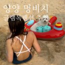 글램독 양양 | [강아지와함께] 강원도 양양 멍비치 개장, 양양 반려동물 동반 숙소 : 글램독 추천
