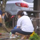 다호마을 이미지