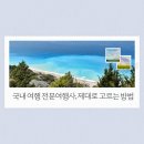 (합)대아관광여행사 | 국내 여행 전문여행사, 제대로 고르는 방법부터 추천 대상까지