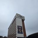 &lt;빛의 시어터 : 베르메르부터 반 고흐까지, 네덜란드 거장들&gt; 관람후기