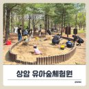 월드컵공원 유아숲체험원 아이랑 자연 놀이터 탐방