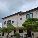 상사의숲 이미지