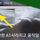 건재활의학과의원 이미지