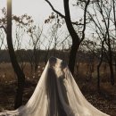 춘광 | 부산야외웨딩스냅 추가금없는 웨딩 스냅 춘광 계약 후기 : 올인원 풀패키지로 준비 끝