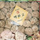 해담 이미지