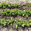 백월산농장 이미지