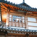 미카사(MICASA) 이미지