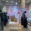 차니베어 이미지