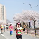 4월 7일 영주소백산마라톤대회 사진 3 이미지