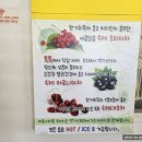 톡톡씨드 이미지