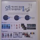 스파인바디 | [천안 불당동] 척추 관절 체형교정 잘하는 곳/엑스 바디 검사 후기/스파인 앤 스포처