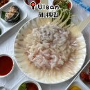 울산 동구 주전 횟집추천 내돈내산 후기 •해녀횟집•