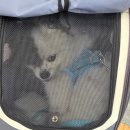 다루동물병원 이미지