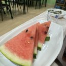 서비포차 이미지