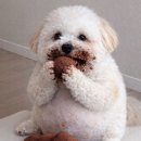 씨유 구미옥계에덴점 | 옥계 디저트 맛집(두쫀쿠,아쫀쿠,로쫀쿠), 디저트카페 맛나당[구미]