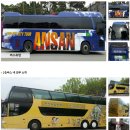 대부관광여행사