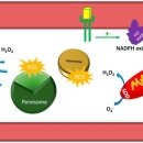 활성한의원 이미지