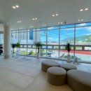 서울웰동물의료센터 이미지