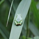 망나니골 이미지