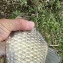 25년 가을을 보내며 이미지