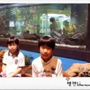 상봉떡볶기 | 서대문 자연사 박물관 &amp; 참 숯 불 떡뽁이 맛을 즐기다...