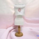 펫보드레 이미지