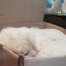 관문병원 이미지