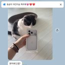 백2리 | 한국 휴가(일산 밤리단길/킨텍스 카페&amp;베이커리 페어)