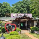 528 | 남양주 미음나루 맛집 동강의 향기 산삼만두전골에 반한 남양주 수석동 맛집 후기