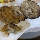 애견천국 이미지