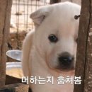 인 이미지