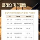 잘살개(J·DOG) | 반려견 경혈 마사지 2기 모집[수료증 발급과정]