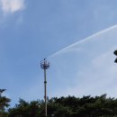 안면도자연휴양림 이미지