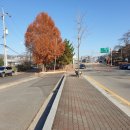 천리고가교 밑 이미지