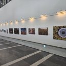 배곧도서관 이미지