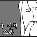 쉐프스스토리