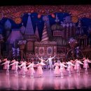 우아한 모험 발레 이미지