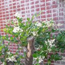 우동경로당 이미지