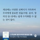 티나하우스 이미지