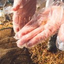 신월리달뜨는마을 이미지