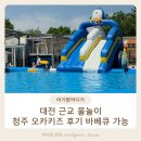 오카 | 대전 근교 물놀이 청주 오카키즈 후기 바베큐 가능