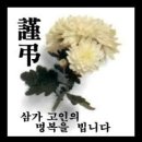 박*갑 Daum카페