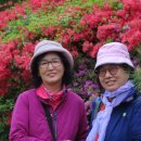 청소보건지소 이미지