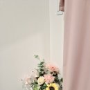 보라뷰티용인