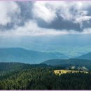 동향농장 이미지