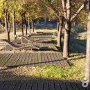 파로호느릅마을 이미지